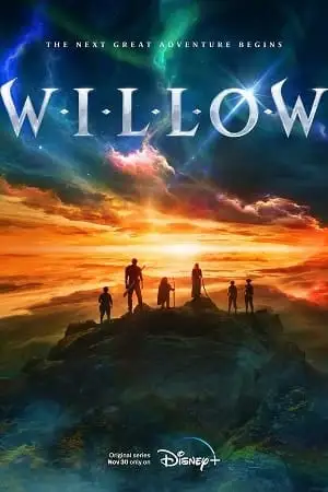 willow 2022