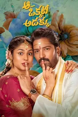 Download Aa Okkati Adakku (2024) Dual Audio [Hindi + Telugu] WeB DL 480p [400MB] | 720p [1.4GB] | 1080p [2.7GB]