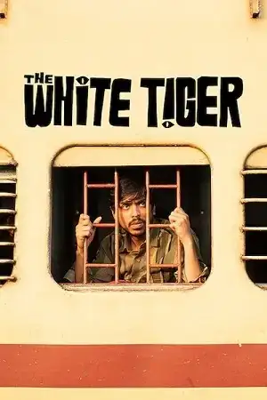 Download The White Tiger (2021) Hindi Full Movie WEB DL 480p [350MB] | 720p [1.1GB] | 1080p [2.4GB]